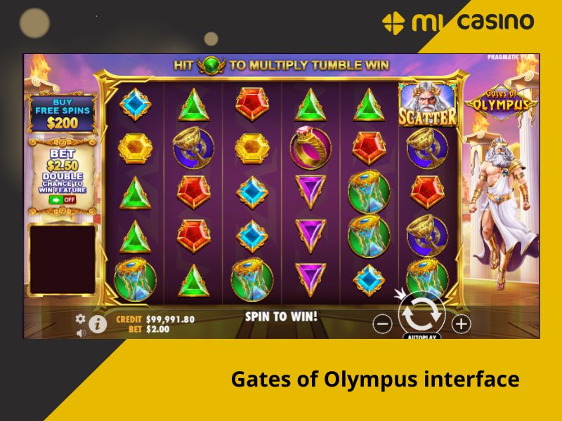 Gates of Olympus Interface